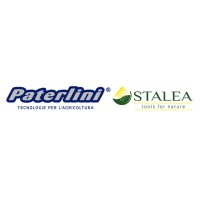 Paterlini Stalea